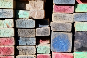 Sušiareň a dezinfekcia dreva