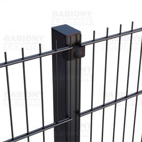2D plotové panely od 15€/m2 od firmy GabionyLemon - www.gabionylemon.sk