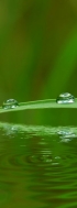 Environmentálne prevádzkové audity