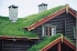 Zelené strechy - hydroizolácia Isola Systém Platon DE 25 + OLDROYD GREEN
