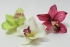 Umelé kvety - Orchidea