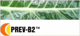 Kvapalné listové hnojivo zvyšujúce odolnosť proti hubovým chorobám PREV-B2
