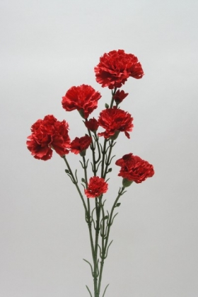 Umelé kvety - Karafiát