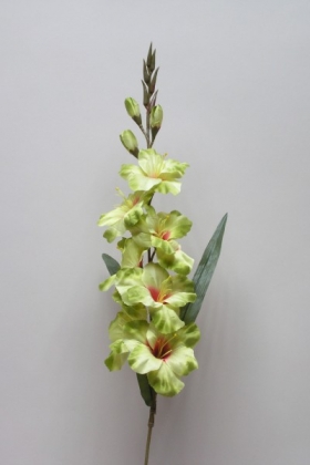 Umelé kvety - Gladiola