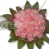Pink Star - ruže