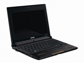 Notebook Toshiba Nb550D-105 10,1/C50/250/1/c/W7S-Sk zelený