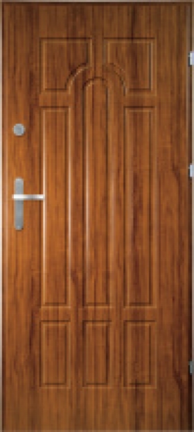 Vchodové dvere Solid 6