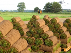 Starostlivosť o záhradu - založenie trávnika