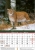 Nástenný univerzálny kalendár N055 - Poľovnícky kalendár