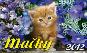 Stolový kalendár s tématikou Zvieratá S030 - Mačky
