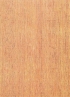 Terasové dosky, decking - Kapur 