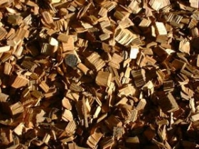 Spracovanie Biomasy a procesy fermentácie 