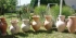 Záhradná a dekoračná keramika