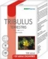 Produkty pre mužov - Tribulus Terrestris